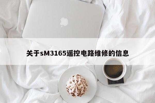 关于sM3165遥控电路维修的信息