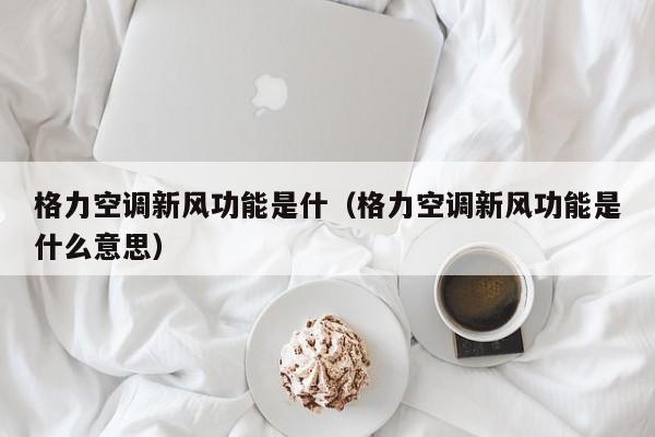 格力空调新风功能是什（格力空调新风功能是什么意思）