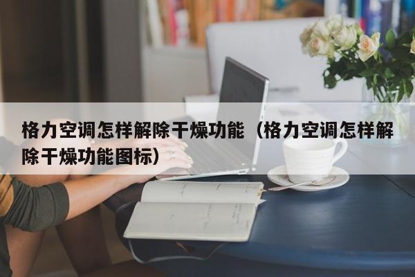 格力空调怎样解除干燥功能（格力空调怎样解除干燥功能图标）