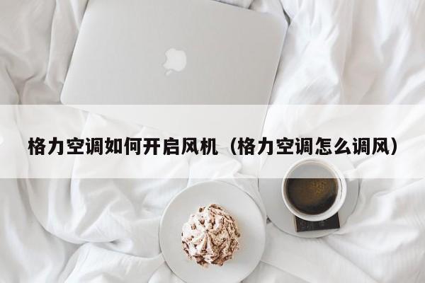 格力空调如何开启风机（格力空调怎么调风）