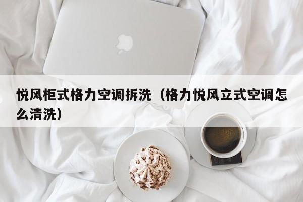 悦风柜式格力空调拆洗（格力悦风立式空调怎么清洗）