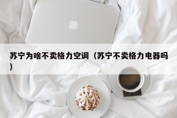 苏宁为啥不卖格力空调（苏宁不卖格力电器吗）
