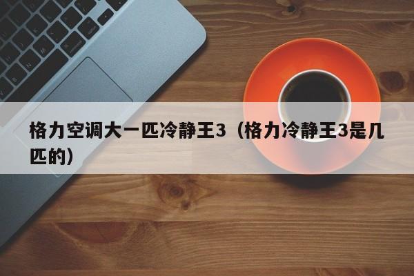 格力空调大一匹冷静王3（格力冷静王3是几匹的）