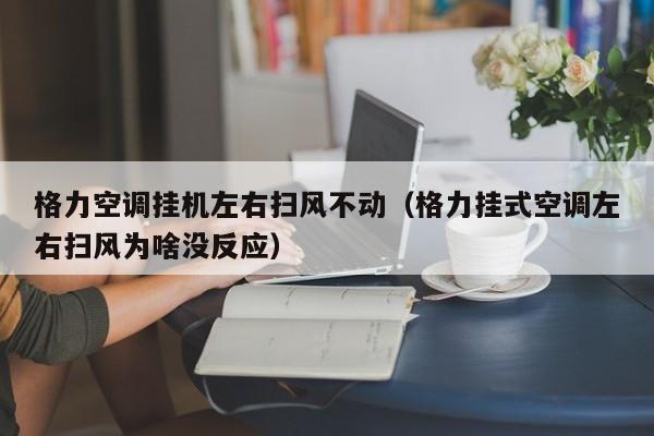 格力空调挂机左右扫风不动（格力挂式空调左右扫风为啥没反应）