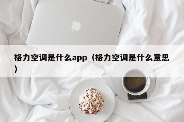 格力空调是什么app（格力空调是什么意思）