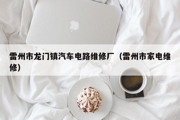 雷州市龙门镇汽车电路维修厂（雷州市家电维修）