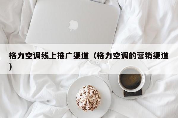 格力空调线上推广渠道（格力空调的营销渠道）