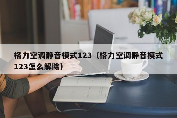 格力空调静音模式123（格力空调静音模式123怎么解除）