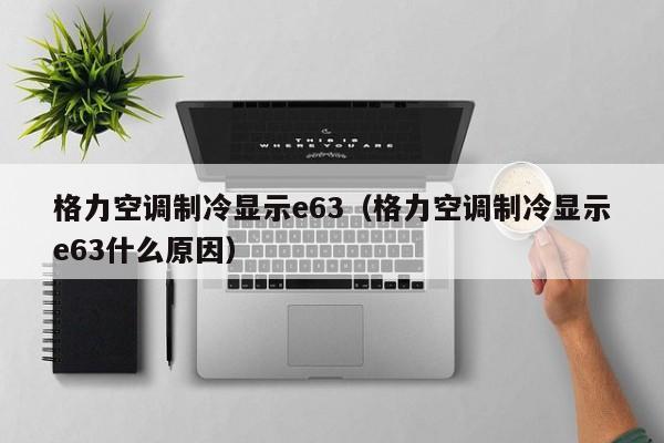 格力空调制冷显示e63（格力空调制冷显示e63什么原因）