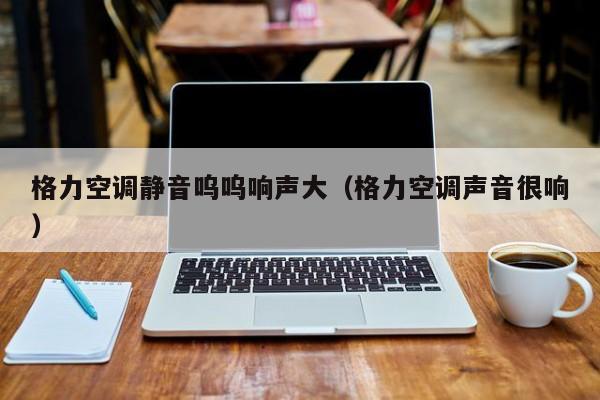 格力空调静音呜呜响声大（格力空调声音很响）