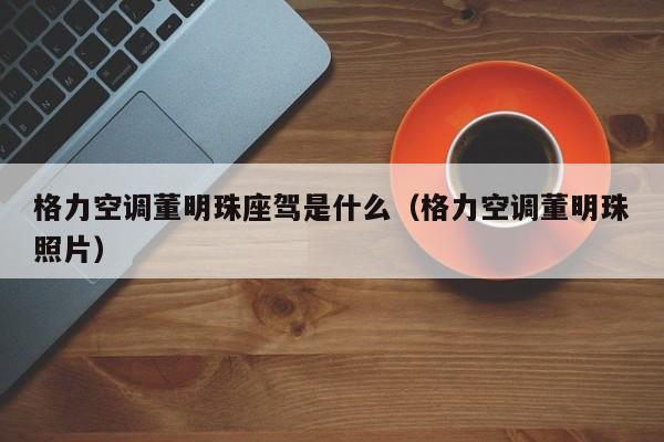格力空调董明珠座驾是什么（格力空调董明珠照片）