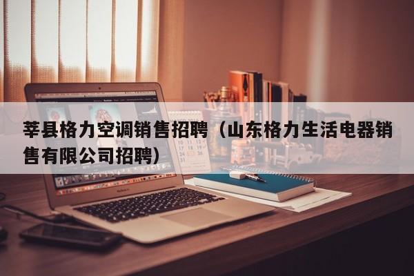 莘县格力空调销售招聘（山东格力生活电器销售有限公司招聘）