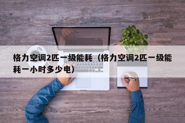 格力空调2匹一级能耗（格力空调2匹一级能耗一小时多少电）