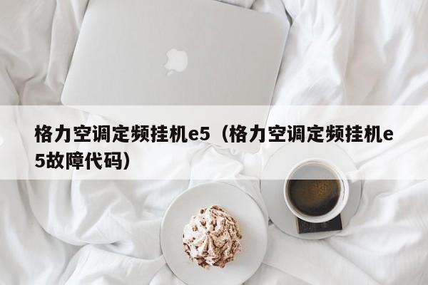 格力空调定频挂机e5（格力空调定频挂机e5故障代码）