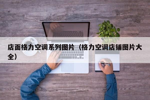 店面格力空调系列图片（格力空调店铺图片大全）