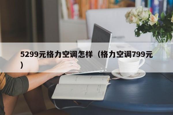 5299元格力空调怎样（格力空调799元）