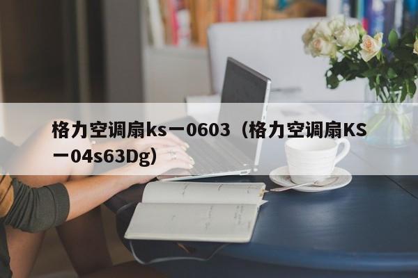格力空调扇ks一0603（格力空调扇KS一04s63Dg）