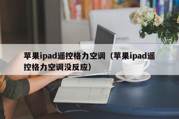 苹果ipad遥控格力空调（苹果ipad遥控格力空调没反应）
