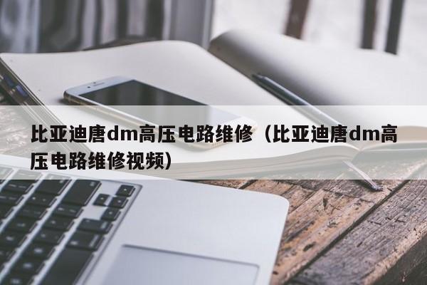 比亚迪唐dm高压电路维修（比亚迪唐dm高压电路维修视频）