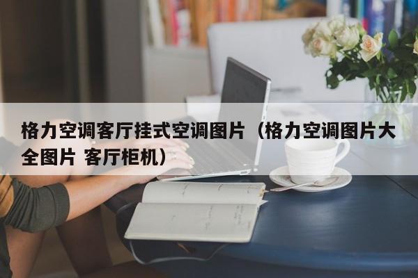格力空调客厅挂式空调图片（格力空调图片大全图片 客厅柜机）