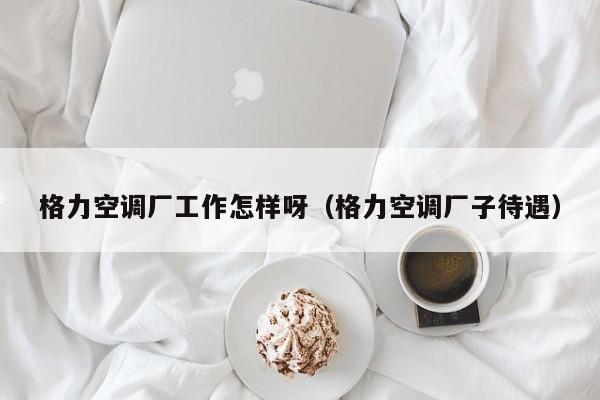 格力空调厂工作怎样呀（格力空调厂子待遇）