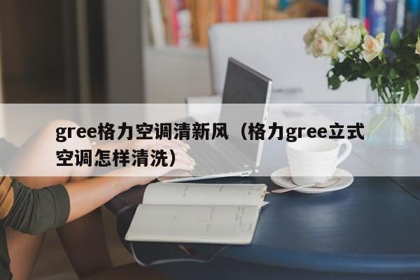 gree格力空调清新风（格力gree立式空调怎样清洗）