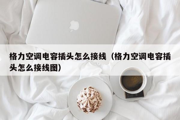 格力空调电容插头怎么接线（格力空调电容插头怎么接线图）