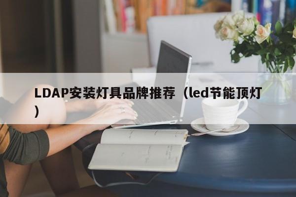 LDAP安装灯具品牌推荐（led节能顶灯）