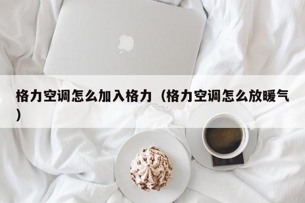 格力空调怎么加入格力（格力空调怎么放暖气）
