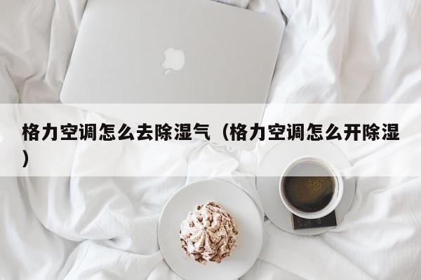 格力空调怎么去除湿气（格力空调怎么开除湿）