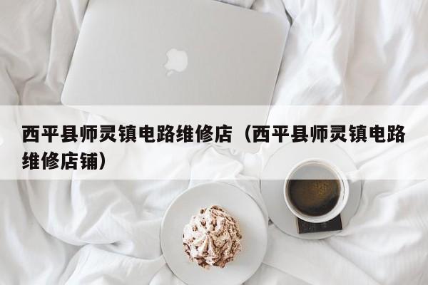 西平县师灵镇电路维修店（西平县师灵镇电路维修店铺）