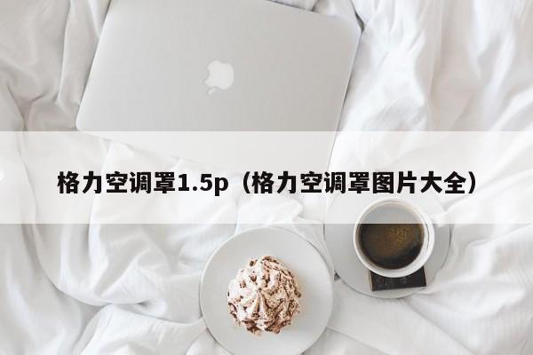格力空调罩1.5p（格力空调罩图片大全）