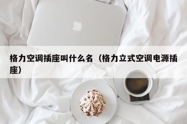 格力空调插座叫什么名（格力立式空调电源插座）