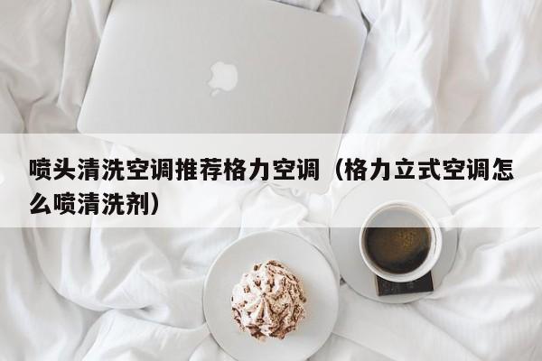 喷头清洗空调推荐格力空调（格力立式空调怎么喷清洗剂）