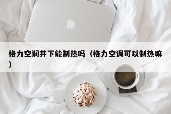 格力空调井下能制热吗（格力空调可以制热嘛）