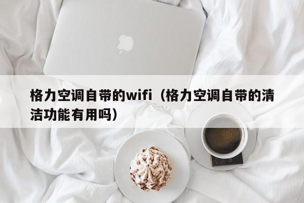 格力空调自带的wifi（格力空调自带的清洁功能有用吗）