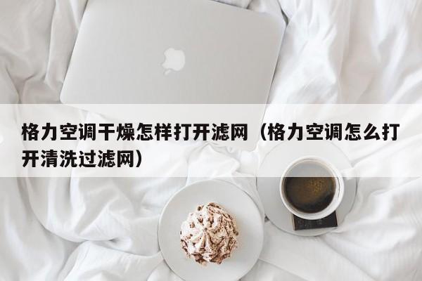 格力空调干燥怎样打开滤网（格力空调怎么打开清洗过滤网）