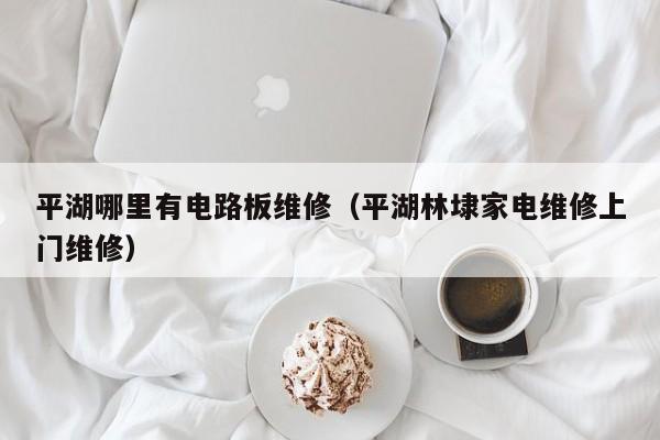 平湖哪里有电路板维修（平湖林埭家电维修上门维修）