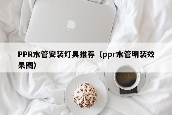 PPR水管安装灯具推荐（ppr水管明装效果图）