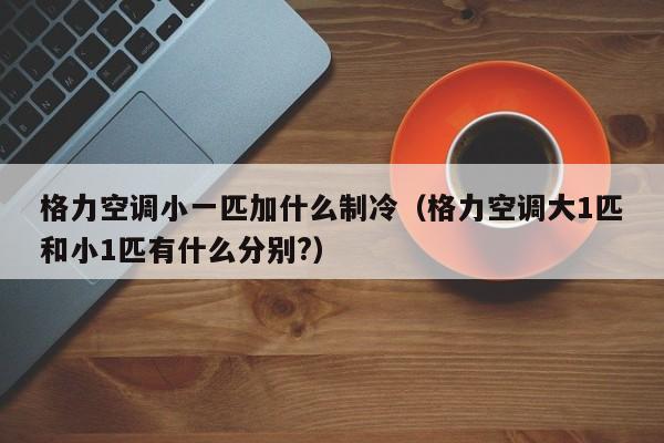 格力空调小一匹加什么制冷（格力空调大1匹和小1匹有什么分别?）