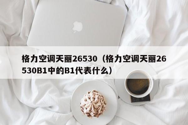 格力空调天丽26530（格力空调天丽26530B1中的B1代表什么）