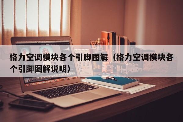 格力空调模块各个引脚图解（格力空调模块各个引脚图解说明）