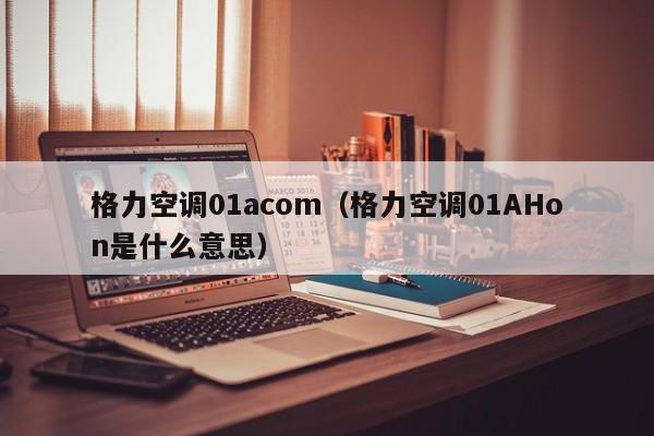 格力空调01acom（格力空调01AHon是什么意思）