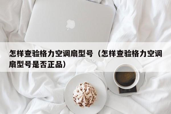 怎样查验格力空调扇型号（怎样查验格力空调扇型号是否正品）