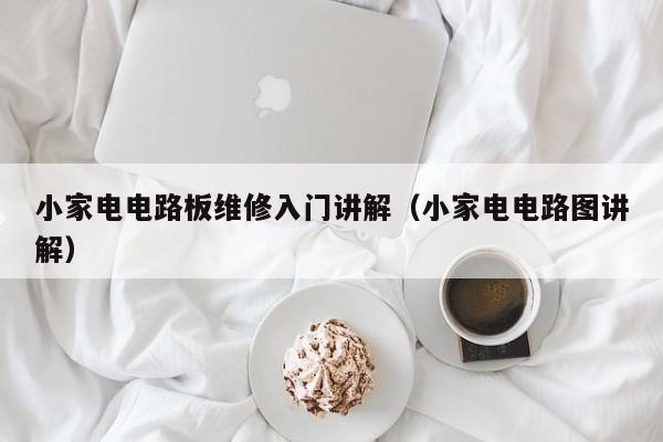 小家电电路板维修入门讲解（小家电电路图讲解）