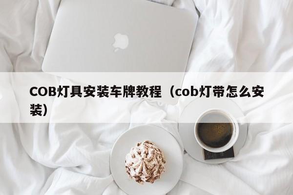 COB灯具安装车牌教程（cob灯带怎么安装）