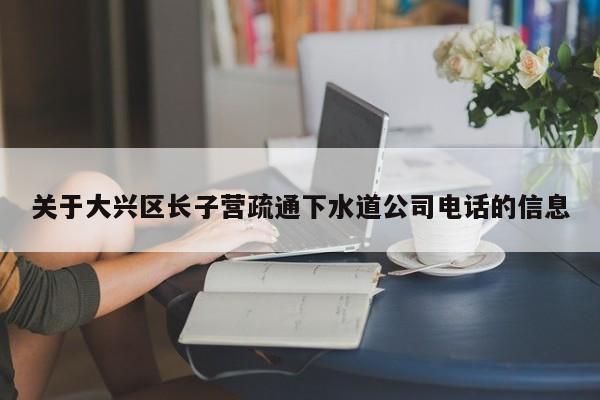关于大兴区长子营疏通下水道公司电话的信息