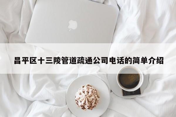 昌平区十三陵管道疏通公司电话的简单介绍