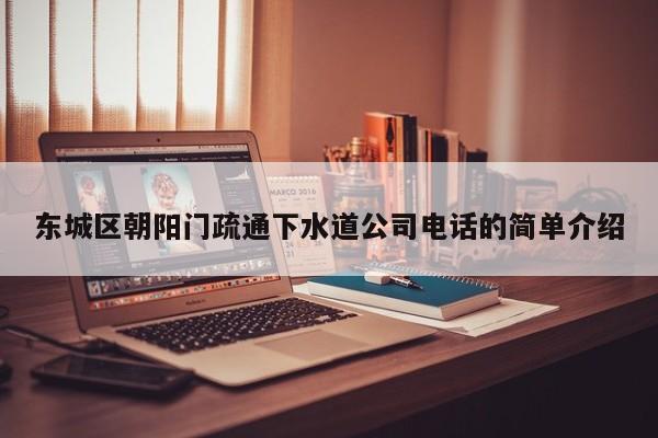 东城区朝阳门疏通下水道公司电话的简单介绍