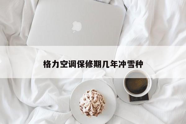 格力空调保修期几年冲雪种